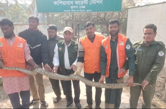 কয়রায় ১০ ফুট লম্বা অজগার সাপ উদ্ধার