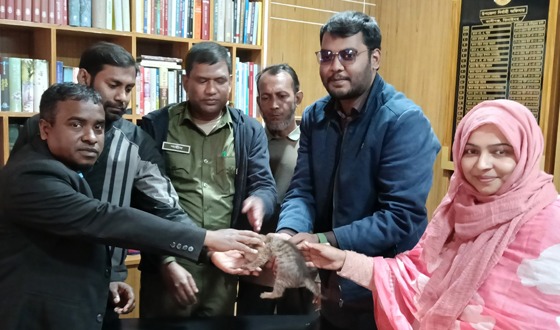 মা হারা বিড়ালটি বন বিভাগে হস্তান্তর