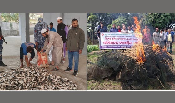 চাঁদপুরে ৮৫০ কেজি জাটকা, রিংচাই জব্দ
