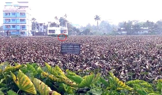 বরিশাল নগরীতে ভরাট হচ্ছে শতবর্ষী দীঘি