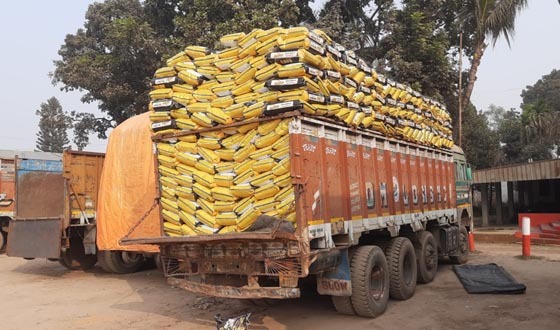 হিলি স্থলবন্দর দিয়ে ভারত থেকে চাল আমদানি শুরু