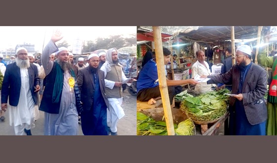 ত্রিশাল আসনে ‘হাত পাখা’ প্রার্থীর প্রচারাভিযান