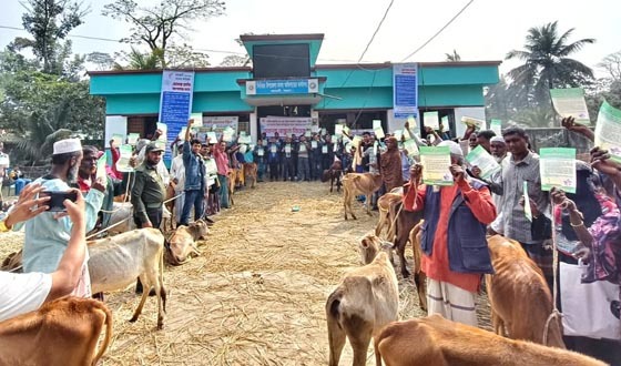 ৬০ জন জেলে পেলেন বকনা বাছুর