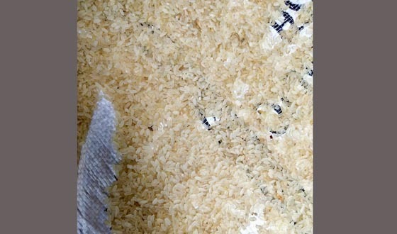 মাদারীপুরে ধান সংগ্রহে অনিয়ম