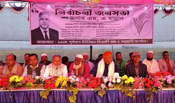 ব্রাহ্মণবাড়িয়া-১ আসনে ধানের শীষ প্রার্থীর জনসভা