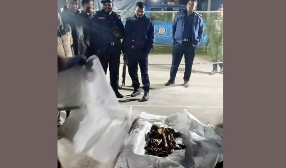 আত্রাইয়ে ইট দিয়ে মাথা থেতলে হত্যা