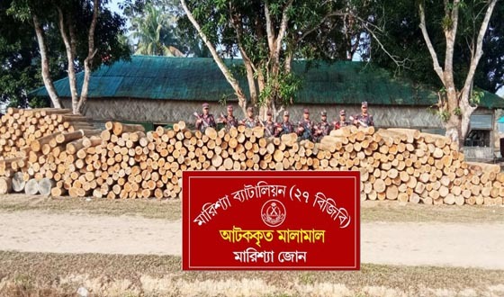বিজিবির অভিযানে অবৈধ সেগুন কাঠ জব্দ