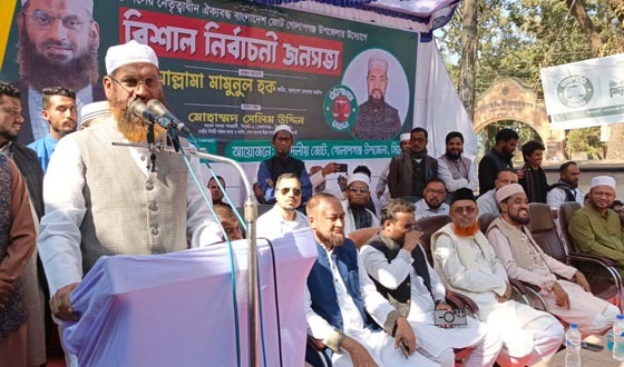 বিপুল ভোটে ‘১১ দলীয় নির্বাচনী ঐক্য’ বিজয়ী হবে: মামুনুল হক