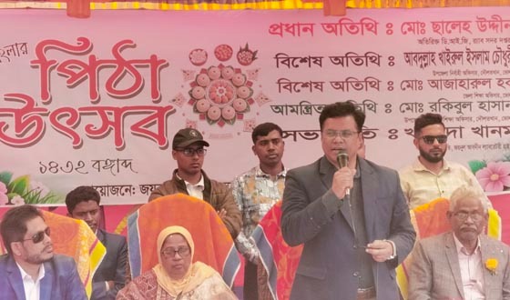 দৌলতখানে পিঠা উৎসব