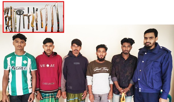 হোমনায় সেনা অভিযানে অস্ত্রসস্ত্রসহ আটক ৫