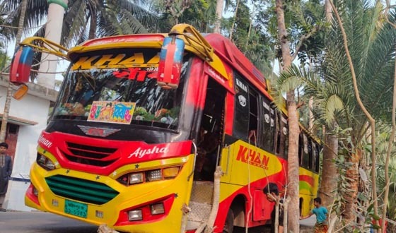 বরযাত্রীবাহী বাস নিয়ন্ত্রণ হারিয়ে সড়কের পাশে, আহত ৬