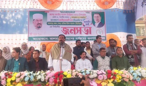 বিএনপি ক্ষমতায় আসলে একটি কল্যান রাষ্ট্র গড়ে তুলবো: হাফিজ