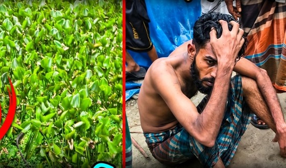 সাড়ে ৩ ঘন্টা কচুরিপানার মধ্যে লুকিয়ে থেকেও শেষরক্ষা হয়নি
