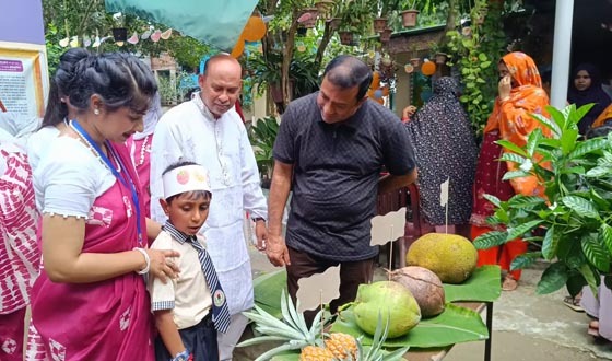 ঝিনাইদহে জমজমাট ফল উৎসব