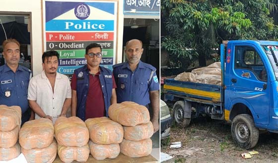 কুলিয়ারচরে ২৪ কেজি গাঁজাসহ মাদককারবারি আটক