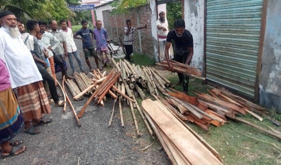আশাশুনি বাজারে ৫০ হাজার টাকার চোরাই কাঠ উদ্ধার