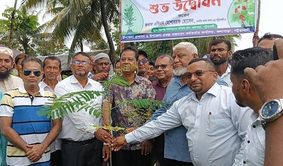 কলাপাড়ায় বৃক্ষ রোপণ কর্মসূচি উদ্বোধন