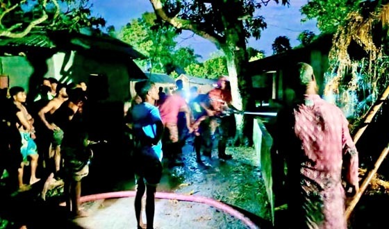 হাকিমপুরে এক রাতে ১০ খড়ের পালায় অগ্নিসংযোগ
