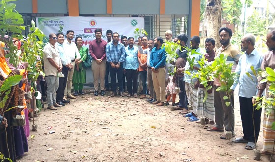 চাটমোহরে জাতীয় পল্লী উন্নয়ন দিবস পালিত