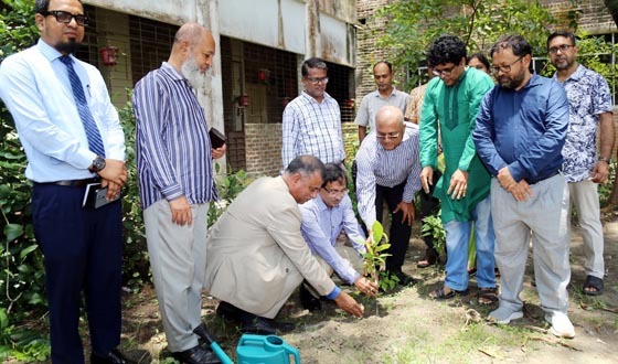 ভাসানী বিশ্ববিদ্যালয়ে বিশ্ব পরিবেশ দিবস উদযাপিত