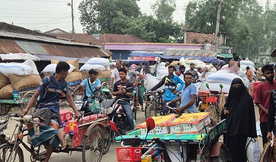 ক্ষেতলালে ৯০ জাতের সরু ধানের বাম্পার ফলন, কৃষকের মুখে হাসি
