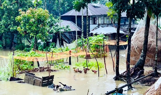 টানা বৃষ্টিতে কলাপাড়ায় জলাবদ্ধতার কবলে কলাপাড়ার হাজারো পরিবার