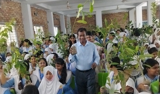 লোহাগড়ায় শিক্ষার্থীর গাছের চারা বিতরণ