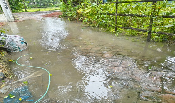 চিতলমারীতে আষাঢ়ে টানা ভারী বর্ষন জনজীবন বিপর্যস্ত