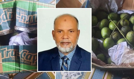 চাঁদপুরে মহিলা ঐক্য পরিষদকে আম উপহার দিল মোশাররফ