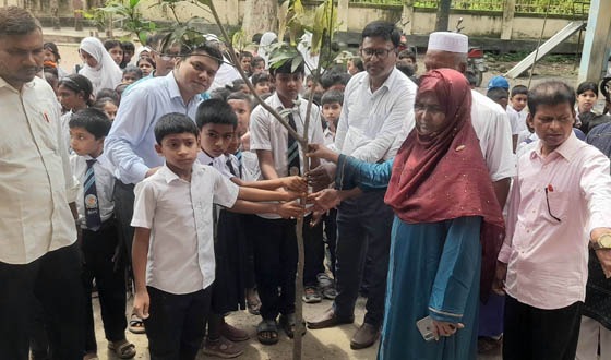 সুজানগরে প্রাথমিক বিদ্যালয়ে বৃক্ষরোপণ কর্মসূচির উদ্বোধন