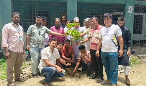 কালীগঞ্জে আত্মউন্নয়ন সমাজ কল্যাণ সংস্থা বৃক্ষরোপন করলেন