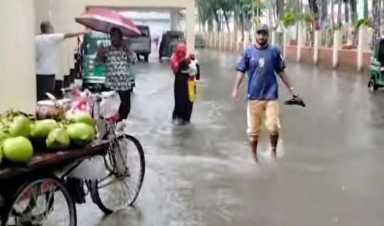 চাঁদপুরে ভারী বৃষ্টি-জলাবদ্ধতা, দুর্ভোগ