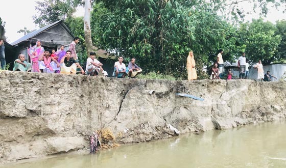 শেরপুরে নদীপাড়ের মানুষের নির্ঘুম রাত কাটছে ভাঙন আতঙ্কে