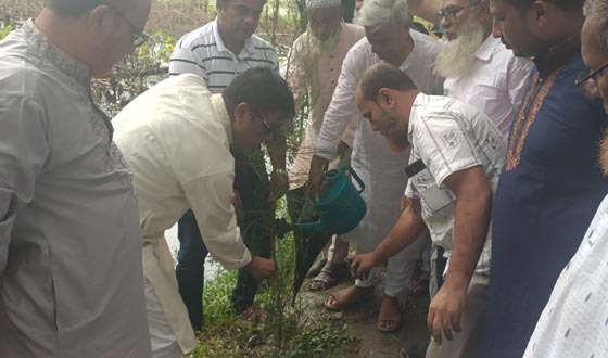 সেনবাগে কিলোমিটার সড়কে বৃক্ষরোপণ কর্মসূচির উদ্বোধন