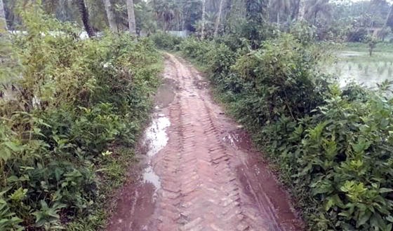 গৌরনদীর ইট সলিংয়ের রাস্তাটি এখন মরণ ফাঁদে পরিনত