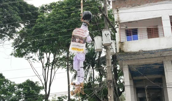 বৈদ্যুতিক তারে ঝুলল এনসিপি’র নাহিদ, হাসনাত, সাজিসের কুশপুত্তলিকা