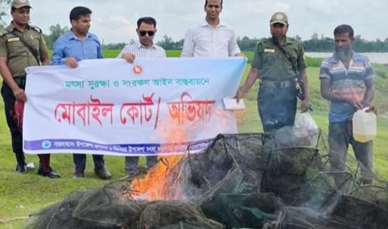 পলাশবাড়ীতে অবৈধ চায়না দুয়ারী জাল পুড়িয়ে ধ্বংস