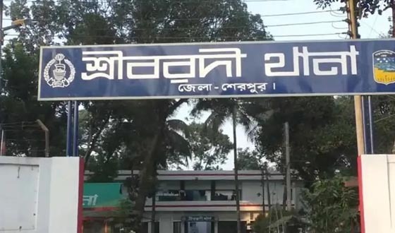 শ্রীবরদীতে পানিতে ডুবে দুই শিশুর মৃত্যু