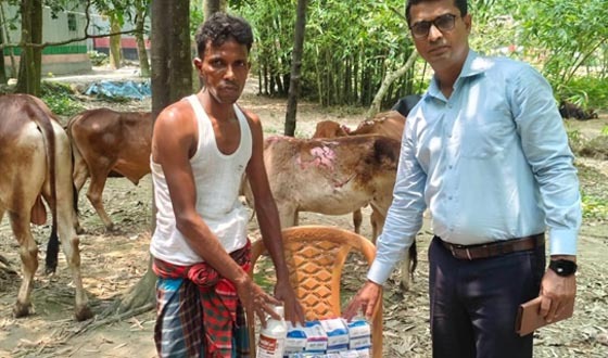 শেরপুরে অগ্নিদগ্ধ ৬ গরু পেল সরকারি চিকিৎসা সেবা