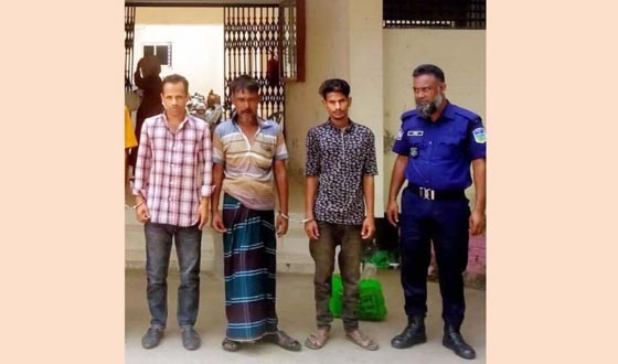 শেরপুরে মাদকসহ  তিন  কারবারি আটক