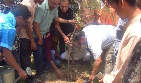 নালিতাবাড়ীর পাহাড়ি রাস্তায় রোপণ হবে কৃষ্ণচূড়ার চারা