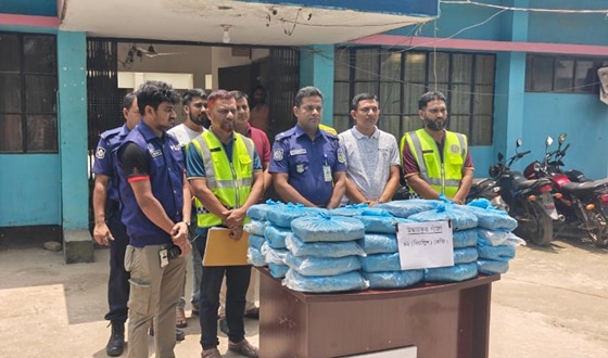 জামালপুরে ৪২ কেজি গাঁজা উদ্ধার, দুই নারী গ্রেপ্তার