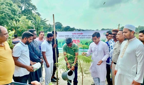 গফরগাঁওয়ে বৃক্ষরোপণ কর্মসূচি উদ্বোধন করলেন এমপি বাচ্চু