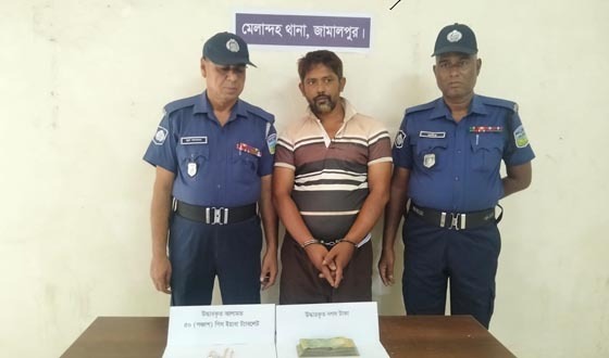 মেলান্দহে ইয়াবাসহ আটক ১