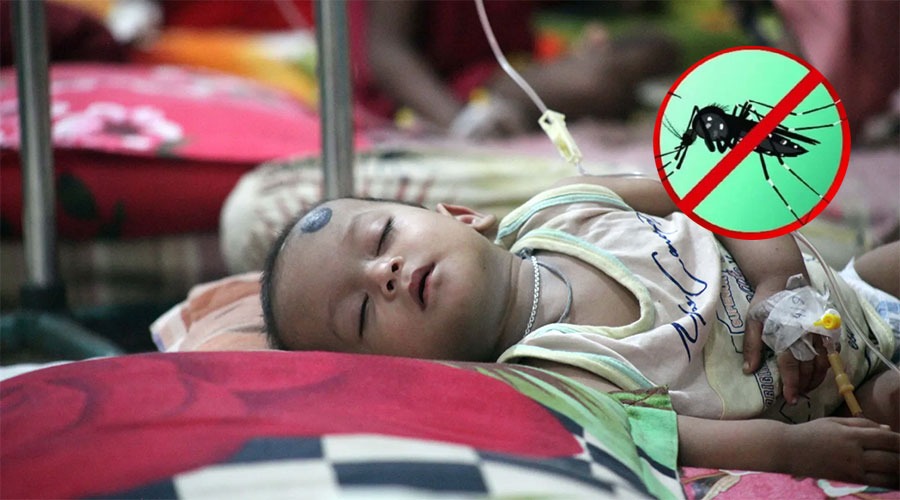 হঠাৎ ডেঙ্গুর প্রভাব: ২৪ ঘণ্টায় ৫ জনের মৃত্যু, হাসপাতালে ভর্তি ১২৪