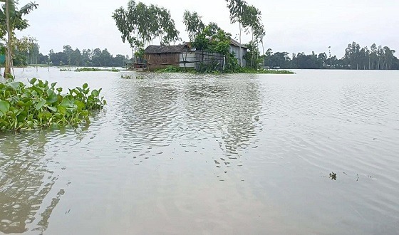 প্লাবিত কুড়িগ্রামের নিম্নাঞ্চল, পানিবন্দী প্রায় ১০ হাজার মানুষ