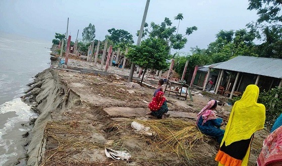 চিলমারীতে ব্রহ্মপুত্র নদের তিব্র ভাঙ্গনে শিকার