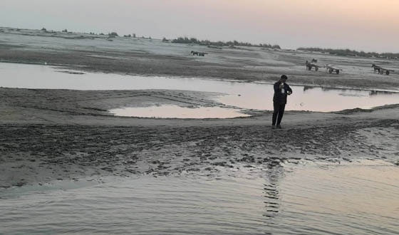 সুজানগরে প্রমত্ত পদ্মা নদী এখন ধুধুবালু চর