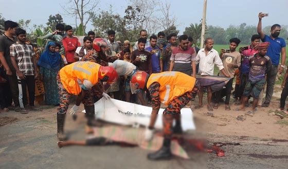 বাবার ভাত দিতে গিয়ে ঝিনাইদহে ট্রাক চাপায় কিশোরের মৃত্যু