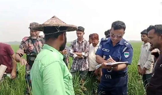 মেহেরপুরে মাঠ থেকে অজ্ঞাত ব্যক্তির মরদেহ উদ্ধার